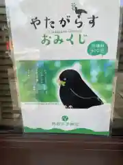 阿倍王子神社のおみくじ