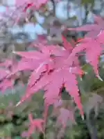 成子天神社(東京都)