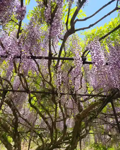 天台宗 五大山 白毫寺(兵庫県)