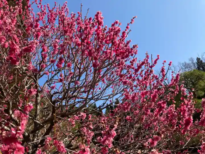 武蔵陵墓地(東京都)