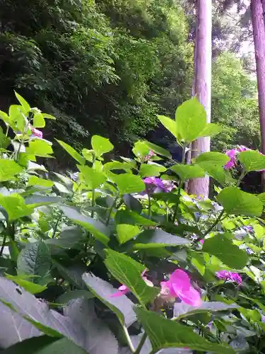 御霊神社の自然