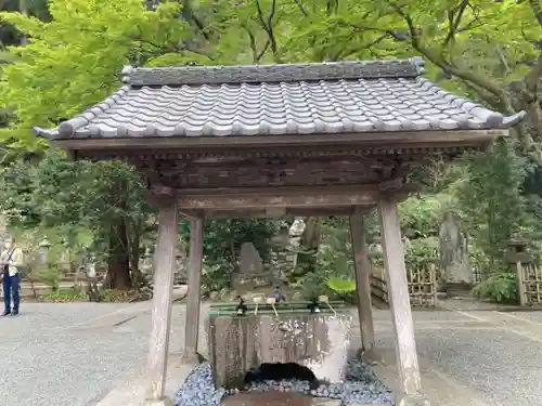 妙本寺の手水舎