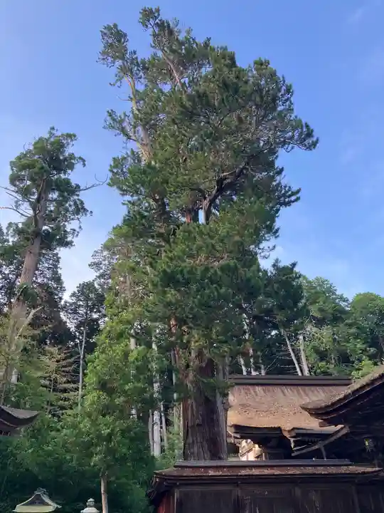 油日神社(滋賀県)