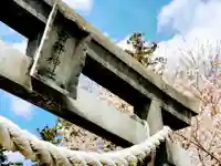 臼杵神社のその他建物