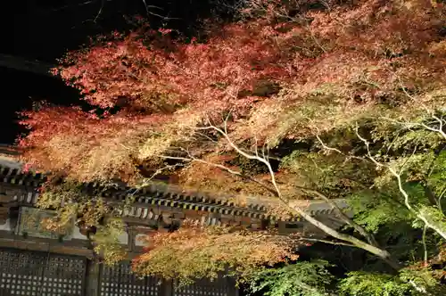 室生寺の自然