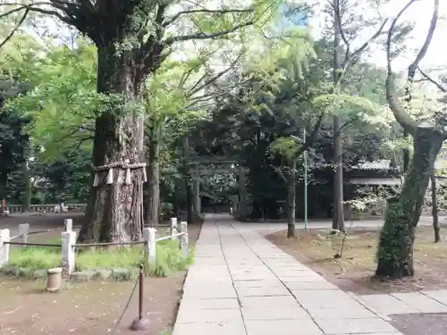赤坂氷川神社のその他建物