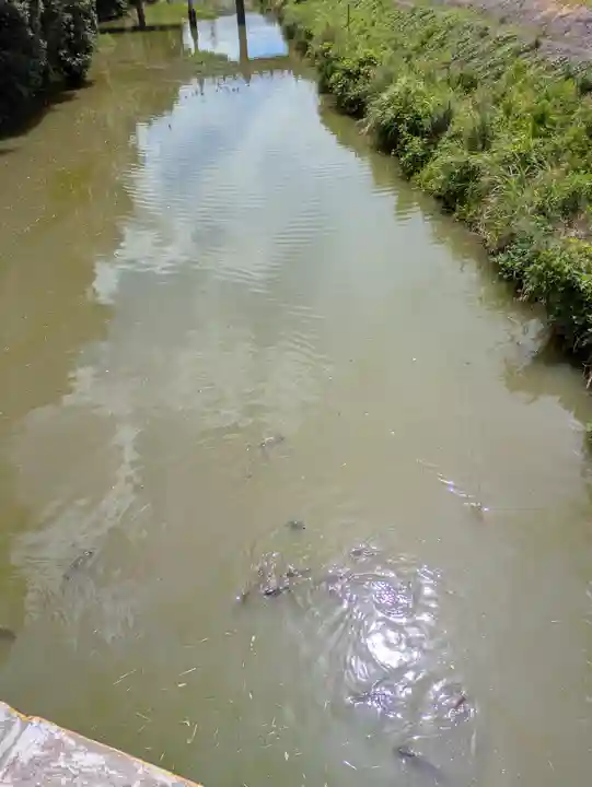 宇佐神宮(大分県)