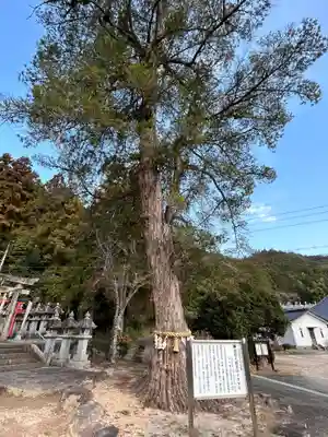 朝倉八幡宮(山口県)