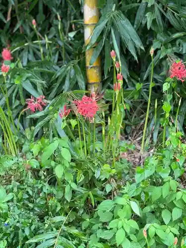 伊富岐神社(岐阜県)