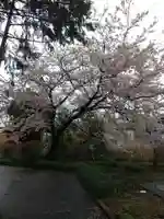 鷲神社(埼玉県)
