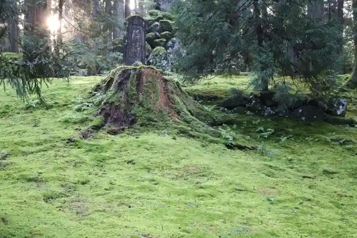 平泉寺白山神社(福井県)