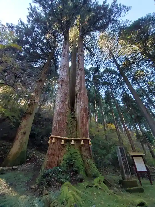 御岩神社の自然