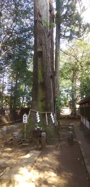 一言主神社の自然