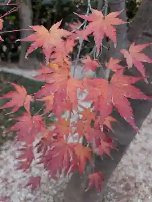 高円寺(東京都)