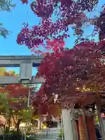 彌彦神社 (伊夜日子神社)の自然