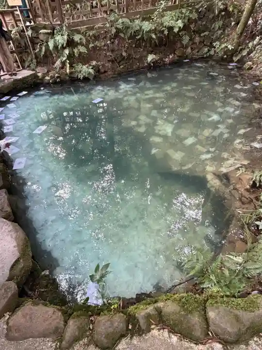 八重垣神社の{uncategorized: "未分類", other: "その他", undefined: "問題あり", building: "その他建物", grave: "お墓", sacred_gate: "鳥居", guardian: "狛犬", statue: "像", buddha: "仏像", history: "歴史", nature: "自然", garden: "庭園", animal: "動物", pagoda: "塔", temizu: "手水舎", mountain_gate: "山門・神門", sanctuary: "本殿・本堂", subordinate: "末社・摂社", art: "芸術", scenery: "景色", jizo: "地蔵", ema: "絵馬", goshuin: "御朱印", omikuji: "おみくじ", items: "授与品その他", amulet: "お守り", goshuincho: "御朱印帳", eats: "食事", festival: "お祭り", votive_dance: "神楽", shichigosan: "七五三参", wedding: "結婚式", experience: "体験その他", initially: "初詣", around: "周辺", anti_infection: "感染症対策"}