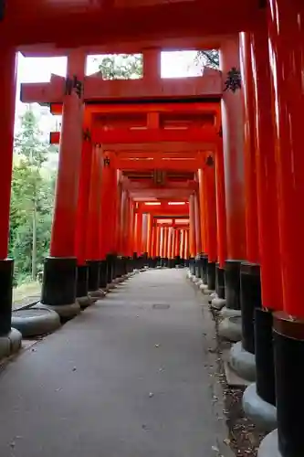 伏見稲荷大社の鳥居