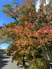 仁和寺(京都府)