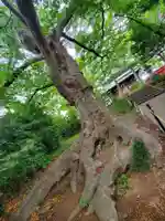 愛宕神社(福島県)