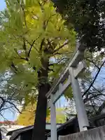 熊野神社(東京都)