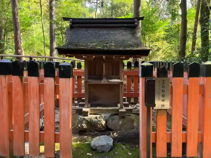 大田神社(賀茂別雷神社境外摂社)(京都府)