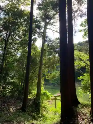 熊野神社(千葉県)