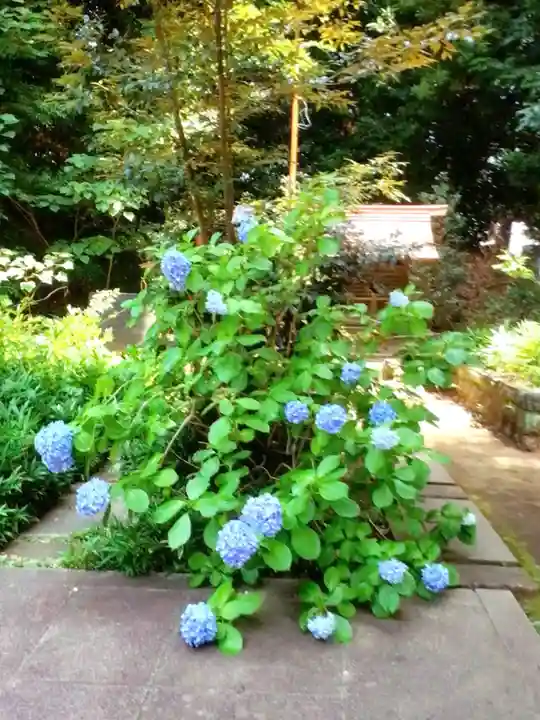 渋谷氷川神社(東京都)