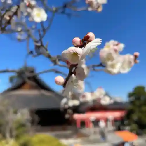 高幡不動尊　金剛寺(東京都)