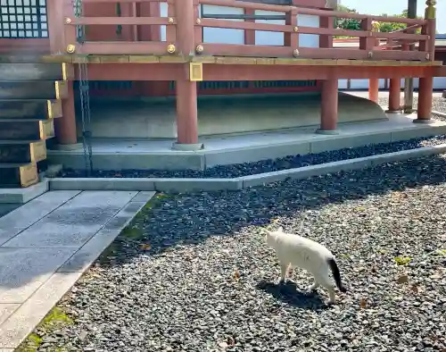 成田山新勝寺の{uncategorized: "未分類", other: "その他", undefined: "問題あり", building: "その他建物", grave: "お墓", sacred_gate: "鳥居", guardian: "狛犬", statue: "像", buddha: "仏像", history: "歴史", nature: "自然", garden: "庭園", animal: "動物", pagoda: "塔", temizu: "手水舎", mountain_gate: "山門・神門", sanctuary: "本殿・本堂", subordinate: "末社・摂社", art: "芸術", scenery: "景色", jizo: "地蔵", ema: "絵馬", goshuin: "御朱印", omikuji: "おみくじ", items: "授与品その他", amulet: "お守り", goshuincho: "御朱印帳", eats: "食事", festival: "お祭り", votive_dance: "神楽", shichigosan: "七五三参", wedding: "結婚式", experience: "体験その他", initially: "初詣", around: "周辺", anti_infection: "感染症対策"}