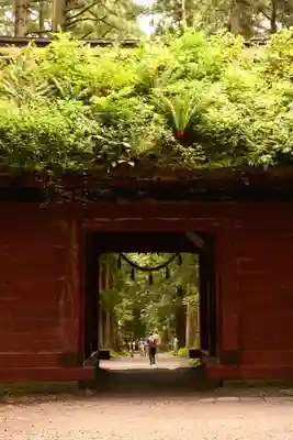 戸隠神社九頭龍社(長野県)