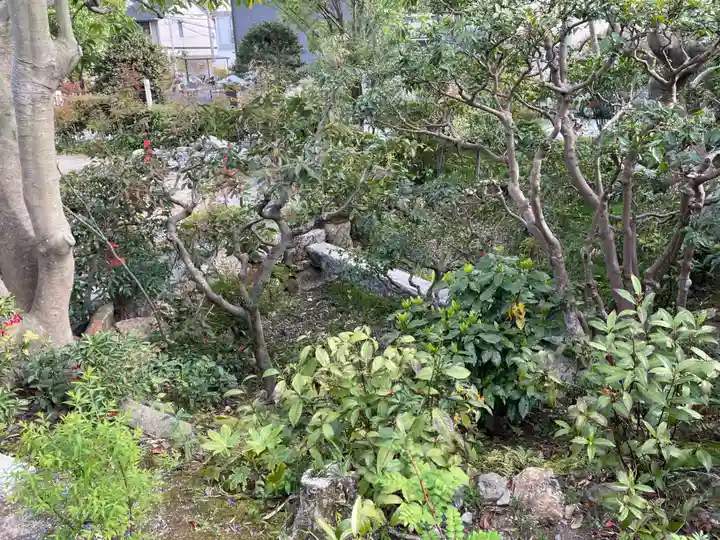 遍照寺(京都府)