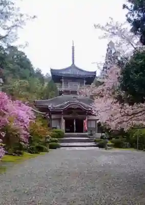 如意寺の本殿・本堂
