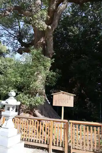 和泉國一之宮　大鳥大社(大阪府)