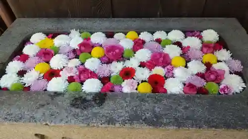 菅生神社の手水舎