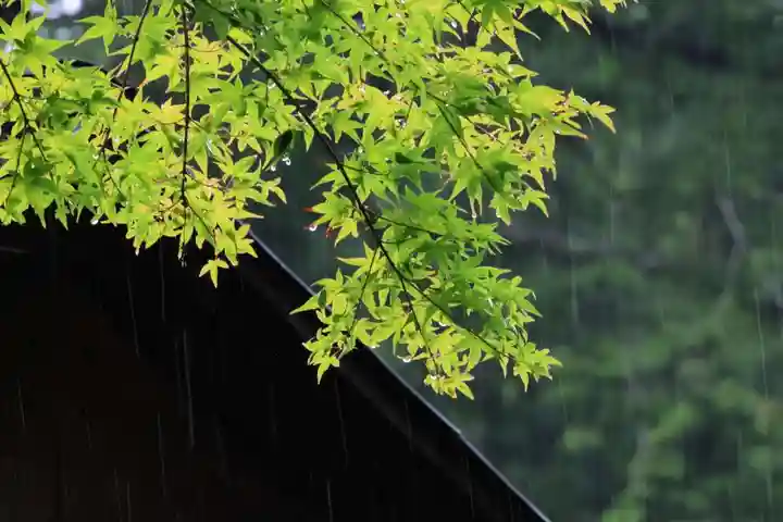 鹿島大神宮の景色