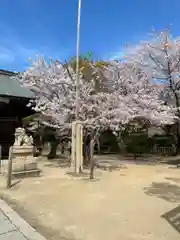 伊和都比売神社(兵庫県)