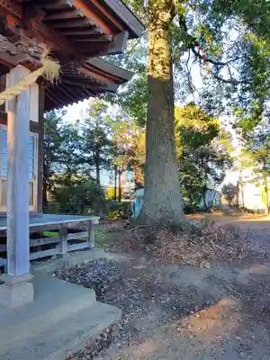 稲荷神社(栃木県)