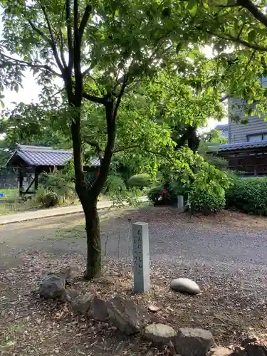 常満寺の庭園