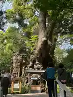 來宮神社(静岡県)