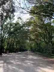 賀茂御祖神社（下鴨神社）の自然