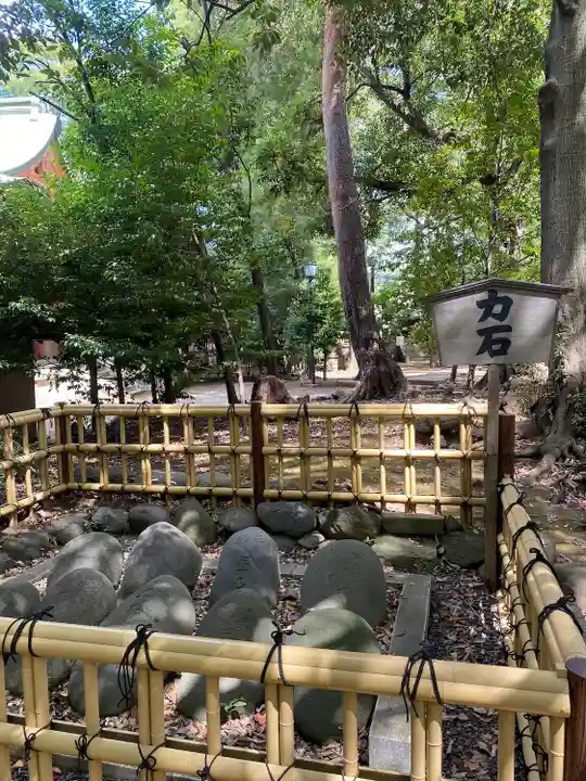 世田谷八幡宮(東京都)