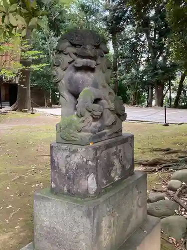 赤坂氷川神社の狛犬