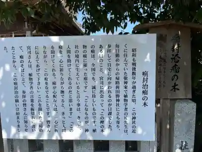 稗田野神社(薭田野神社)(京都府)