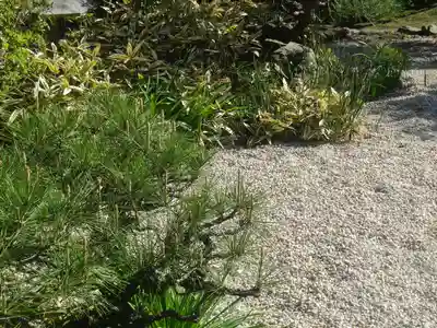 教恩寺のその他建物