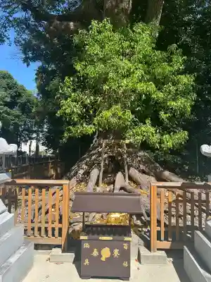 和泉國一之宮　大鳥大社(大阪府)