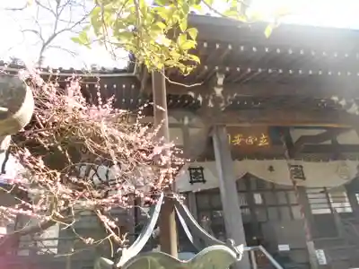 安國論寺（安国論寺）の本殿・本堂