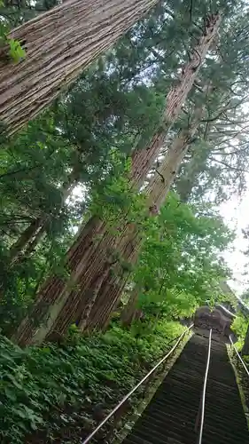 戸隠神社宝光社の自然