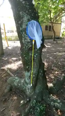 鹿島神社(茨城県)