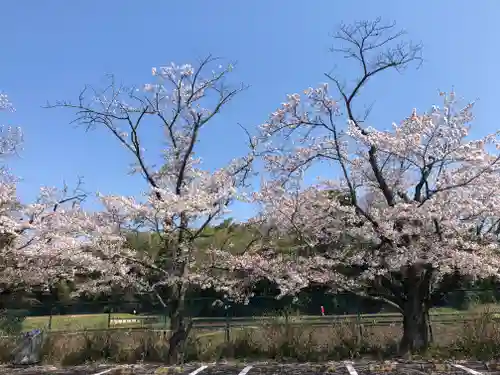 大聖寺（土浦大師不動尊）の自然
