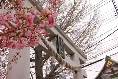 越谷香取神社の鳥居